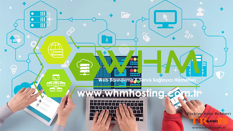 Hosting Nasıl Alınır?